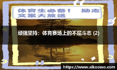 顽强坚持：体育赛场上的不屈斗志 (2)